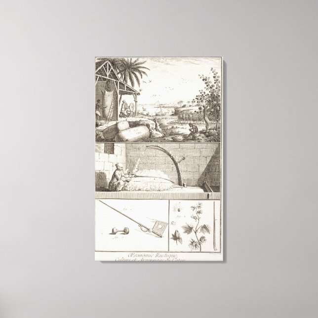 Toile La culture du coton, de l'Encyclopedia (Recto)