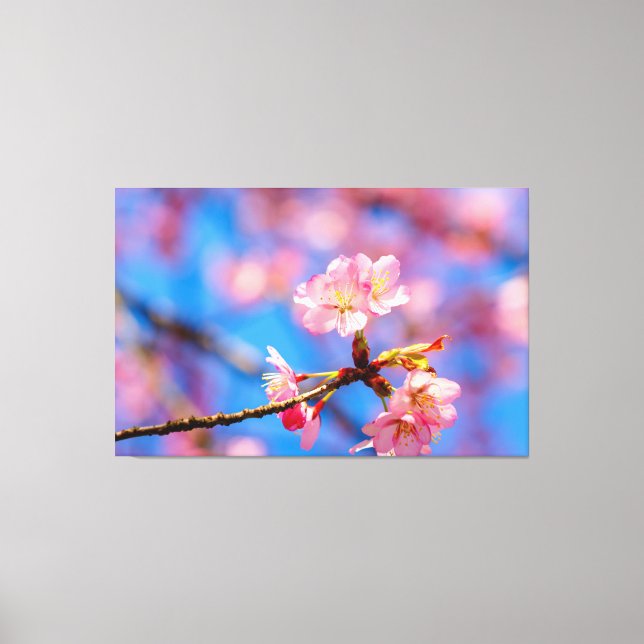 Toile La délicate beauté des Sakura sur fond de ciel ble (Recto)