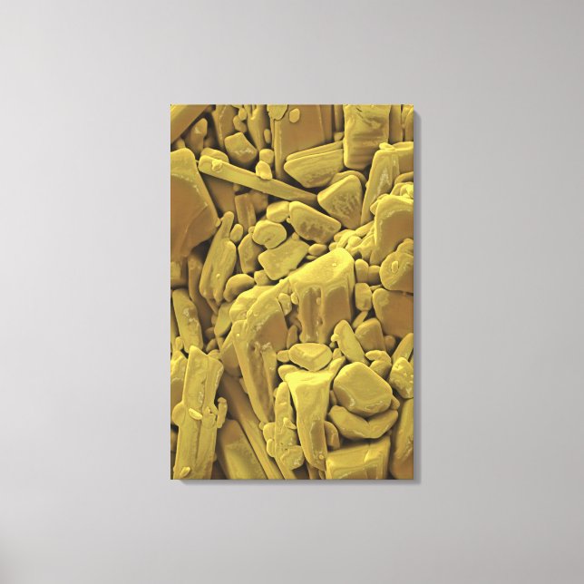 Toile La dooxycycline est membre de l'antibi de la tétra (Recto)