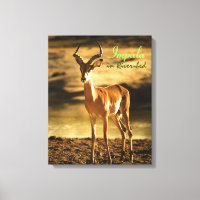 La faune africaine Impala dans le lit de la rivièr