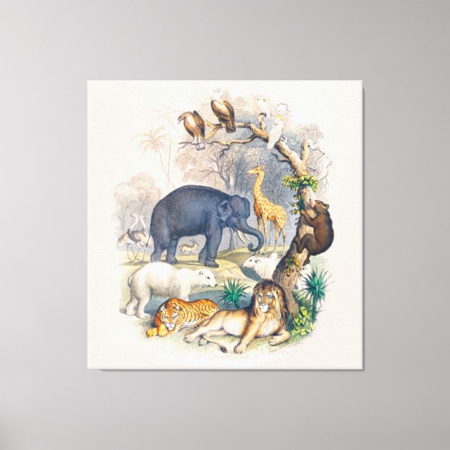 Toile La faune vintage dans l'art naturel (Recto)