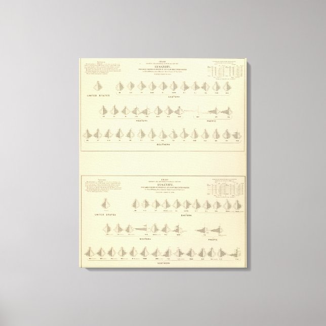 Toile La folie, statistique US Lithograph (Recto)