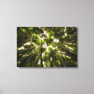 Toile La forêt en bambou