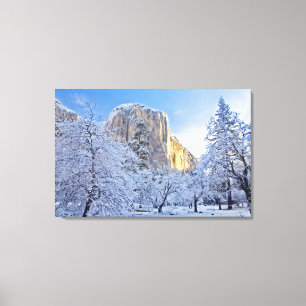 Toile La lumière du lever du soleil frappe El Capitan à