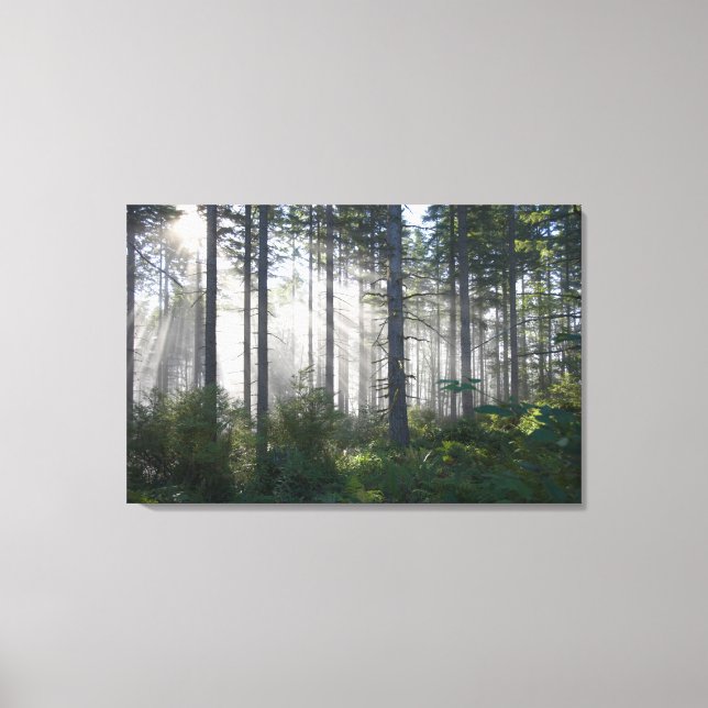 Toile La lumière du soleil traverse une forêt agitée (Recto)