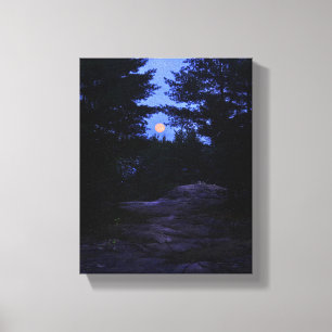 Toile La lune de campagne dans les bois