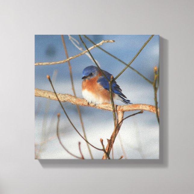 Toile La nature des oiseaux bleus d'hiver (Recto)