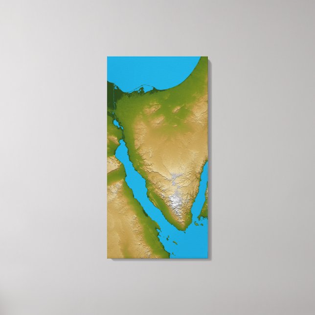 Toile La péninsule du Sinaï (Recto)