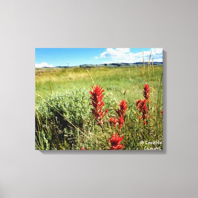 Toile La prairie du Wyoming en été2 (Recto)