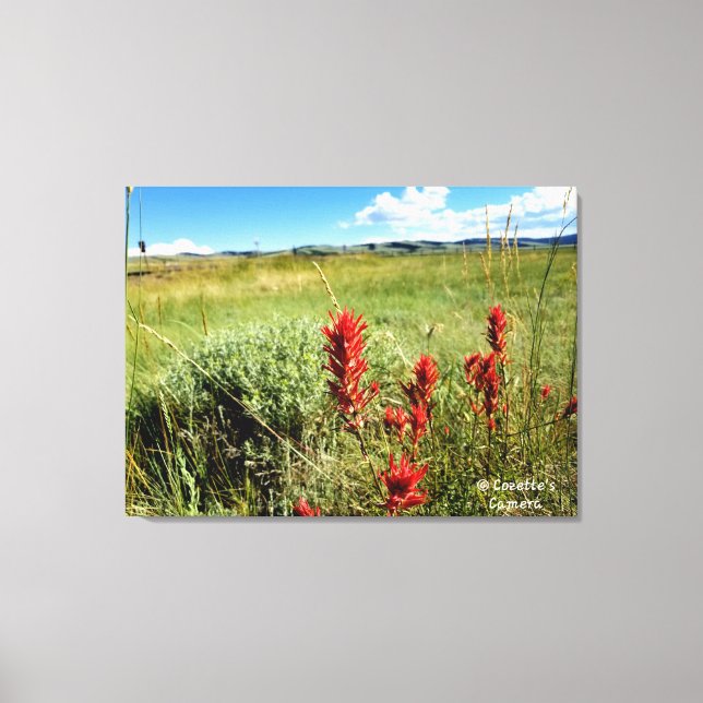 Toile La prairie du Wyoming en été2 (Recto)