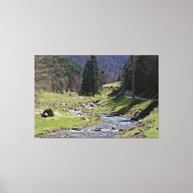 Toile La rivière Steaza près de Sibiu (Recto)