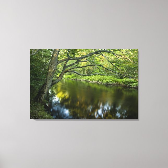 Toile La rivière Taunton à Bridgewater, (Recto)