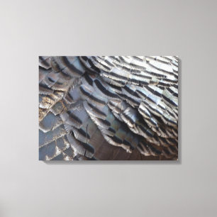 Toile La Turquie sauvage plumes II Design Abstrait de la