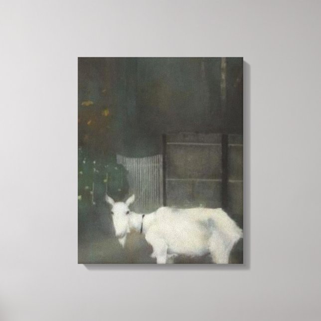 Toile La Vielle Chèvre (par Jan Mankes) (Recto)