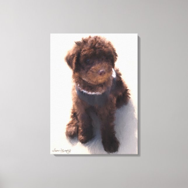 TOILE LABRADOODLE AUSTRALIEN (Recto)