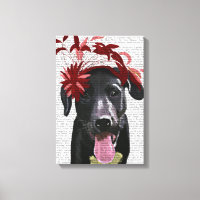 Labrador Noir Avec Fascinateur Rouge