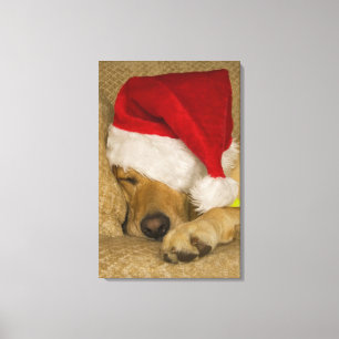Toile Labrador portant un chapeau de Noël rouge