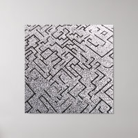 Labyrinthe Intrigué Noir et Blanc