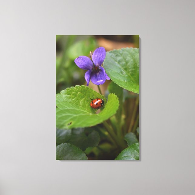 Toile Ladybug sur les fleurs de violet doux (Recto)