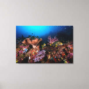 Toile Laja Ampat sous-marin