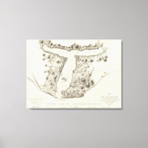 Toile L'Alaska 4