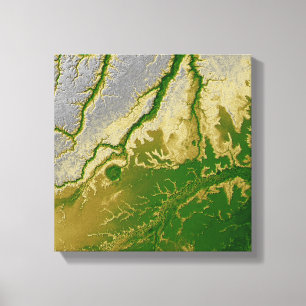 Toile L'Amazone bolivienne