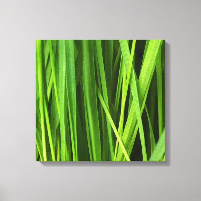 Toile Lames d'herbe (Recto)