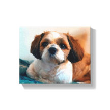 L'amour des chiots