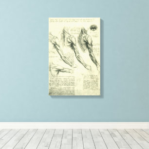 Toile L'anatomie du bras et de l'épaule de Léonard de Vi