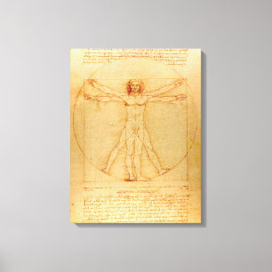 Toile L'anatomie humaine, Vitruvien par Léonard de Vinci