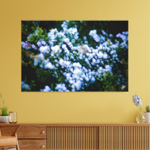 Langley Waterfront #11