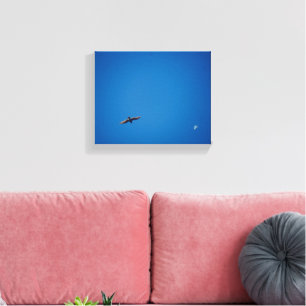 Toile Langley Waterfront Oiseau Volant Ciel Bleu