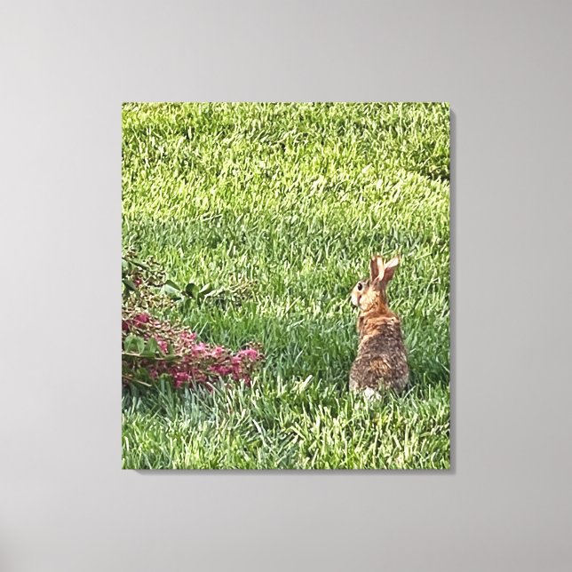 Toile Lapin dans l'herbe - La photographie nature paisib (Recto)
