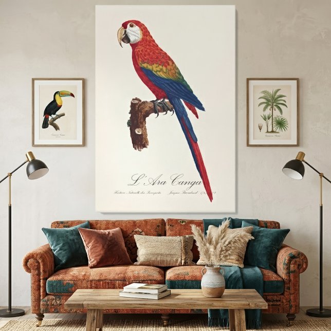 Toile L'Ara Macao / Scarlet Macaw (Scarlet Macaw or Red-Breasted Macaw, Ara macao. Canvas Print)