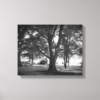 Toile L'arbre Dillard