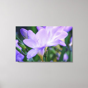 Toile L'art photographique de la Fleur de Freesia