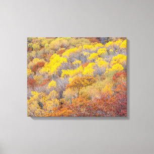 Toile L'automne dans le Michigan