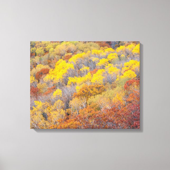 Toile L'automne dans le Michigan (Recto)