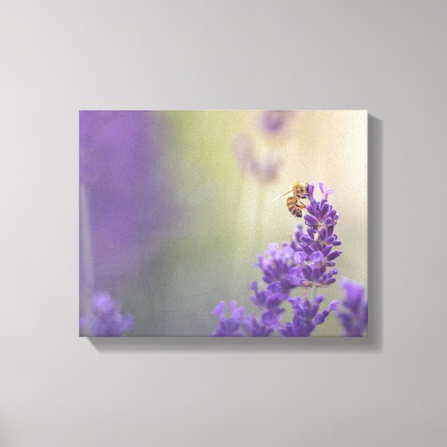 Toile Lavender Flower Honeybee Nature Photo (Recto)