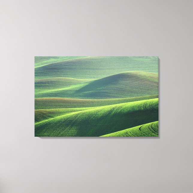 Toile Le blé jaillit dans les collines du Palouse (Recto)