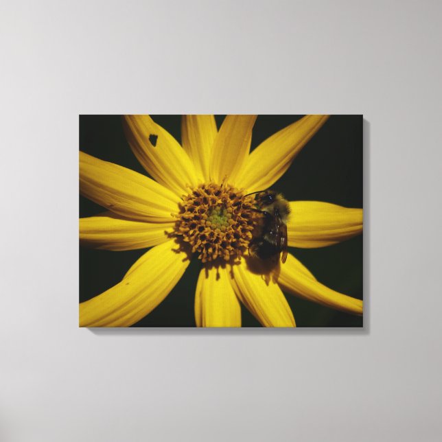 Toile Le Bumble et le Tournesol (Recto)