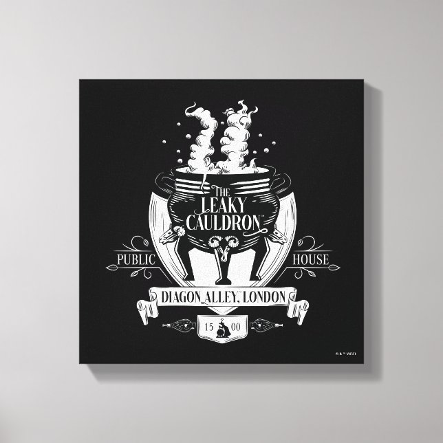 Toile LE CAULDRON™ Shop Graphic LEAKY (Recto)
