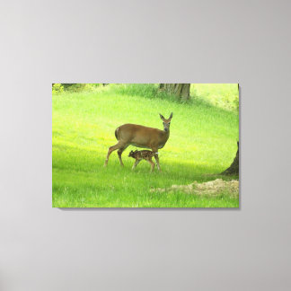 Toile Le cerf de Virginie (Doe) et Fawn