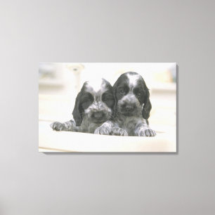 Toile Le cocker anglais est une race de chien. Il