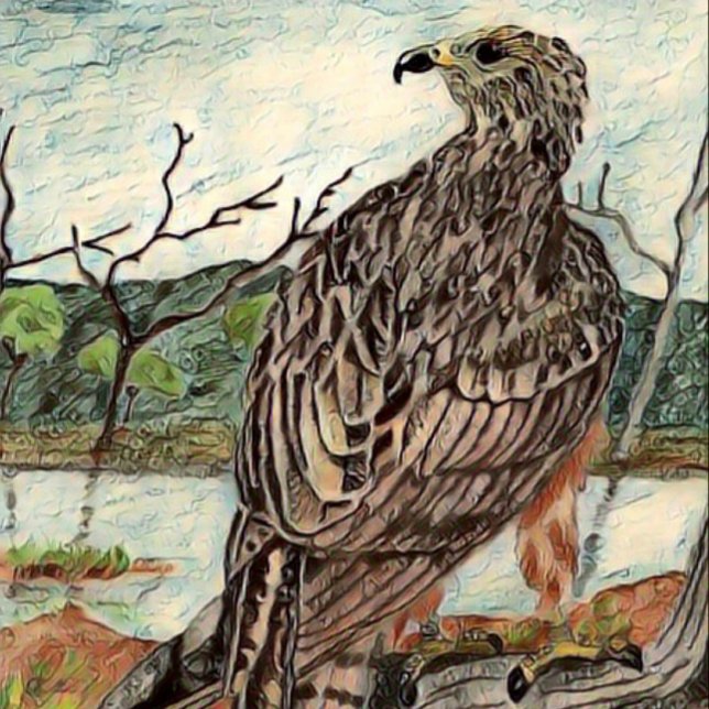 Toile Le faucon (Créateur téléchargé)