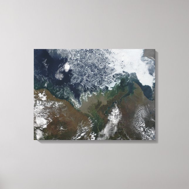 Toile Le fleuve Mackenzie se jette dans la baie Mackenzi (Recto)