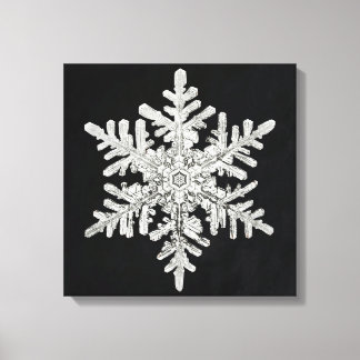 Toile Le flocon de neige de Wilson Bentley