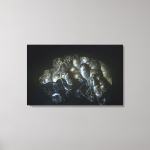 Toile Le Goethite est un minerai important de fer