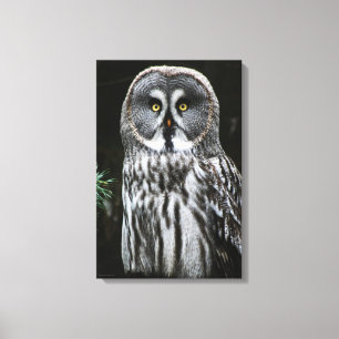 Toile Le grand hibou gris 16x24 (40x60cm) waccna