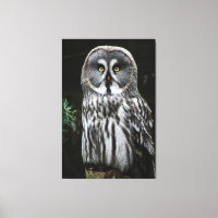 Le grand hibou gris 40x60 (100x150cm) waccna